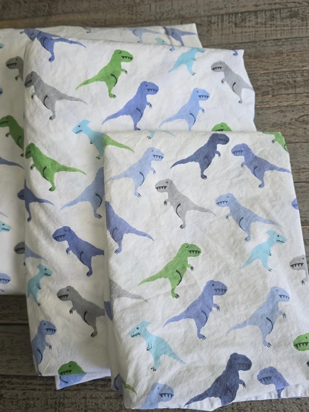 Pottery Barn Kids White 3 Piece Twin Set with Blue, Green, Gray Dinosaurs